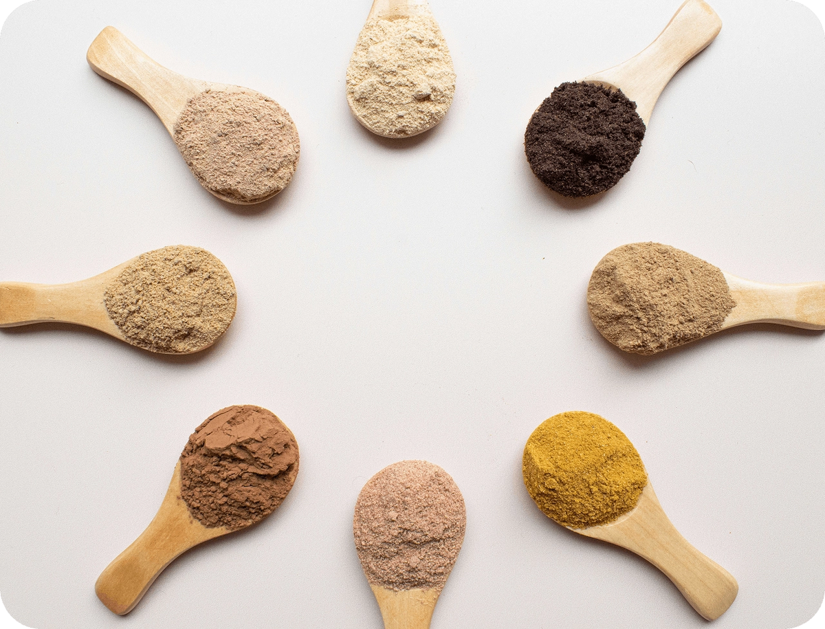 A range of protein options including vegan, hemp, pea protein, grass few when, isolate, and mass gainer options.