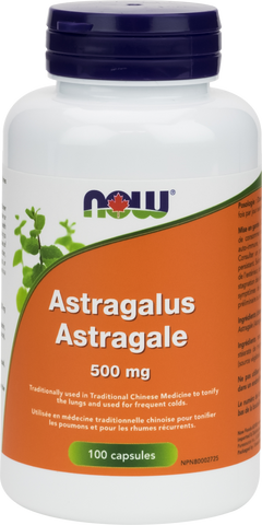 NOW Astragalus 500mg | Immune Support | NOW Foods