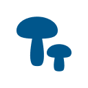 MUSHROOMS