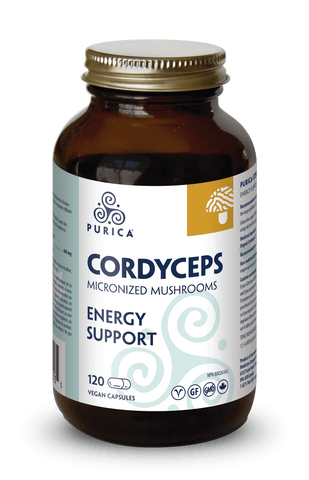 Purica | Cordyceps Mushrooms