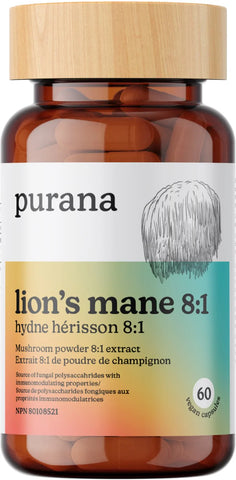 Purana | Lion's Mane 8:1