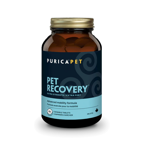Purica Pet | Pet Recovery