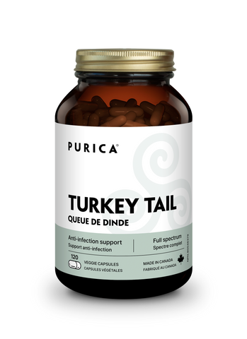 Purica | Turkey Tail