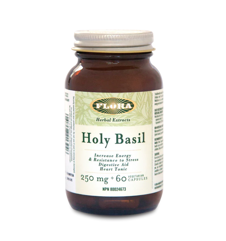 Flora | Holy Basil