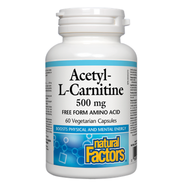 l carnitine bad Viridian L-Carnitine 500mg 30 Capsules  MicroBio Health L-Carnitine in Mitochondria | Encyclopedia