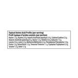 Vega | Sport Protein | XL | Vanilla | Amino Profile